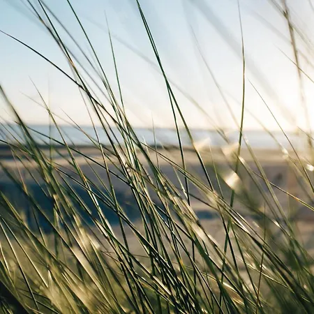 Nordstrandperle E1 Apartment *